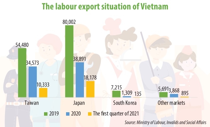 Vietnam Labour Export