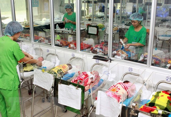 Vietnam's working age