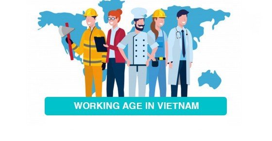 Vietnam working age population